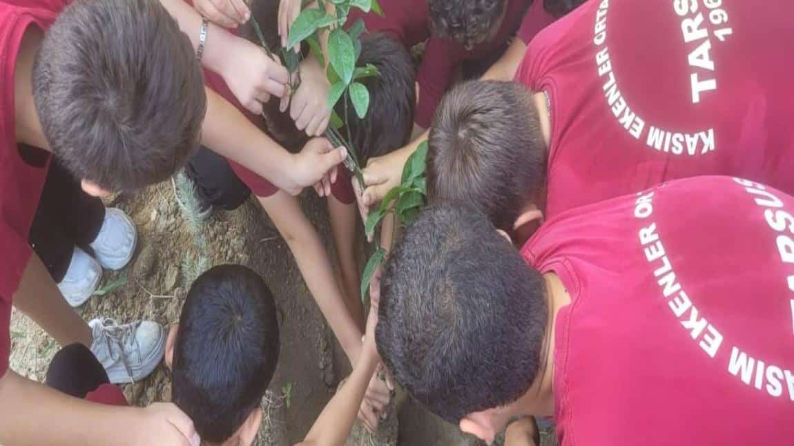 Yeşil Vatan Benim Okulum Geleceğe Çare Etkinliklerimiz